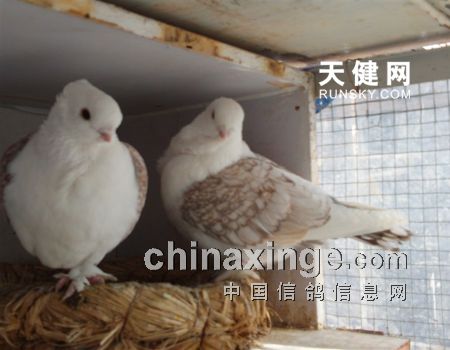 20130529103552690.jpg