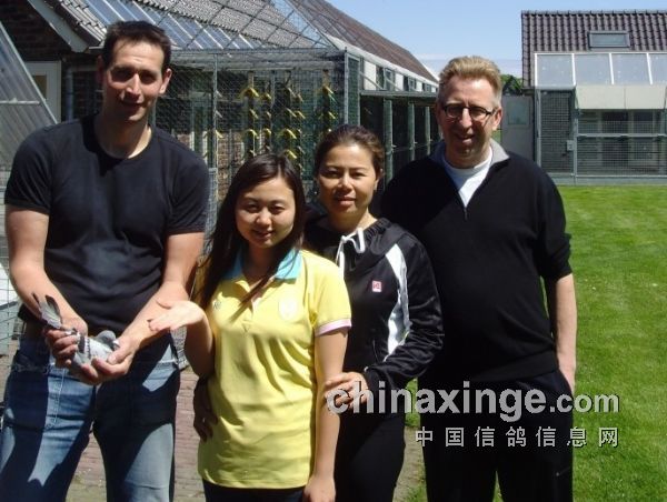 2013荷兰NPO布瑞尔485公里冠军!6羽入赏前1