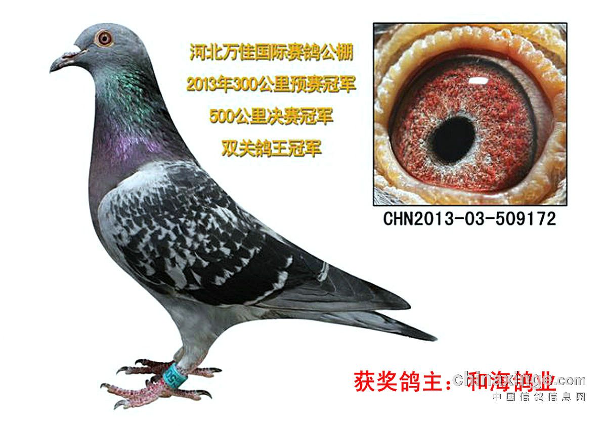 20131104131934985.jpg