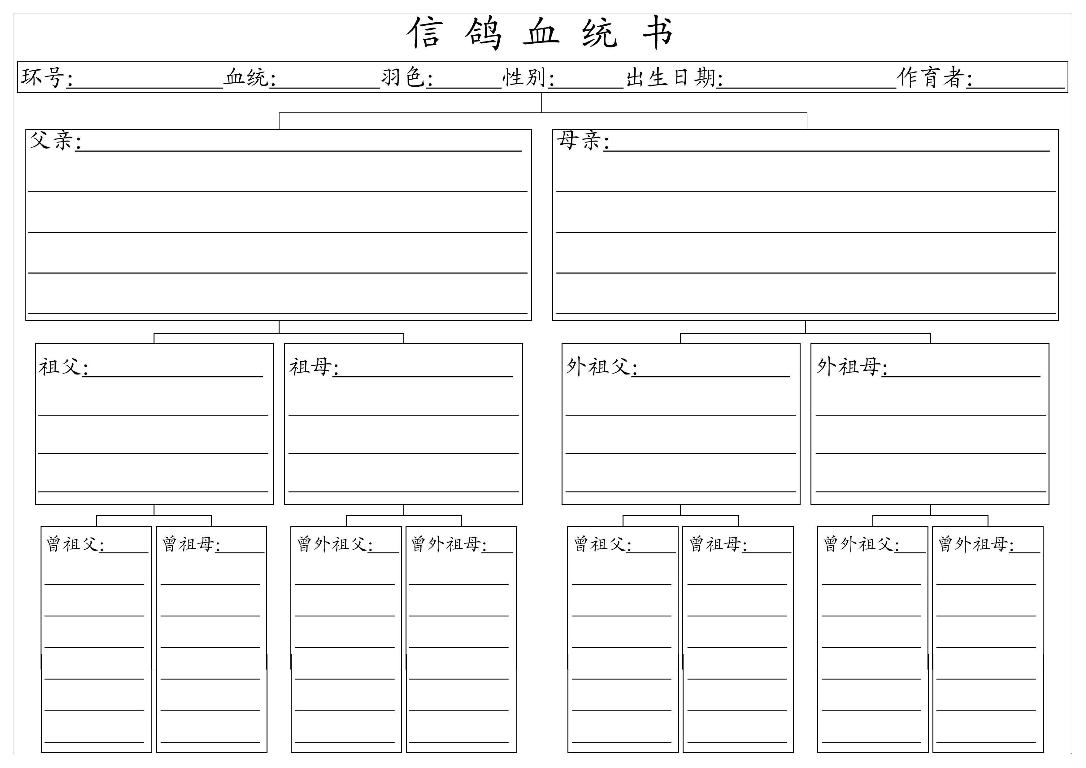 赛鸽天地 赛鸽记录法宝      今天自己琢磨的做了一下血统书,2014年