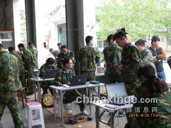 石家庄市裕通赛鸽俱乐部裕通徐州南500公里见鸽归巢高清图片