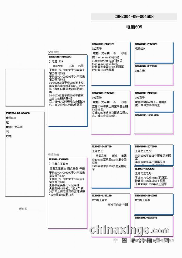 信鸽血统书