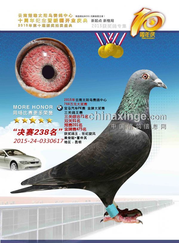 2015年云南楚雄太阳鸟赛鸽中心决赛201名-300名照片