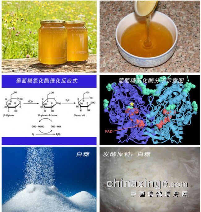 个赛个成分简介