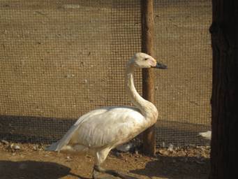 ����������Զ�������