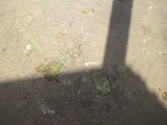 ����������Զ�������