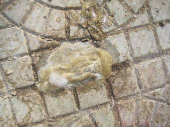 ����������Զ�������