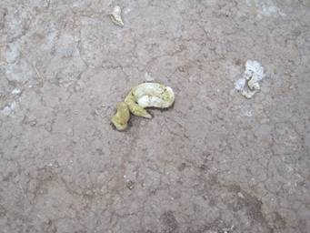 ����������Զ�������