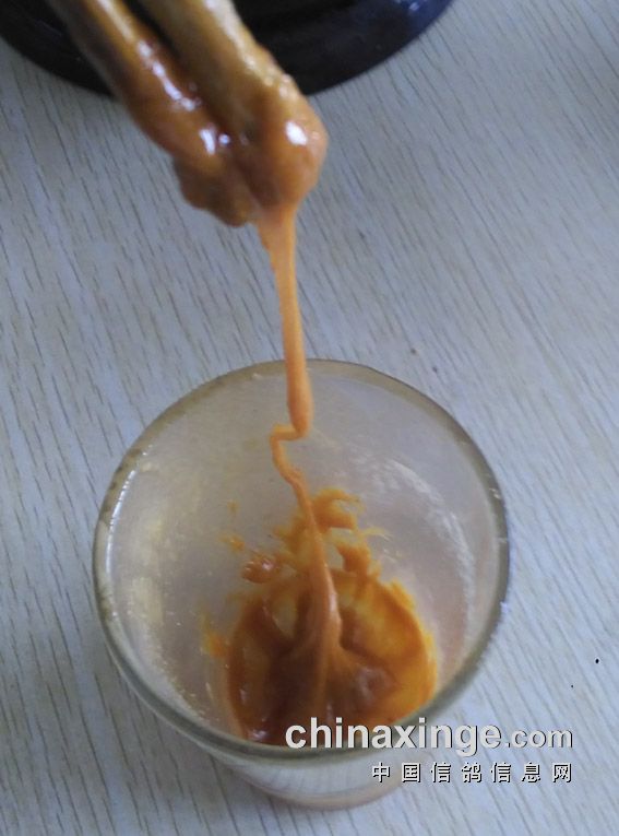 ��������Ƭ