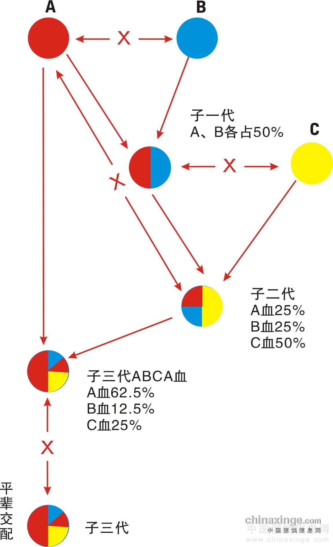 新制提纯公式