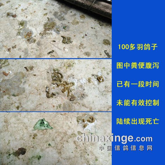 �����������ҩ3�������渹к