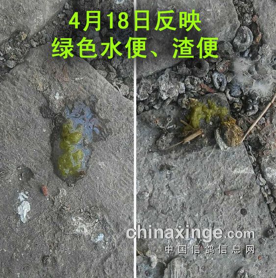 ������������ɫˮ��