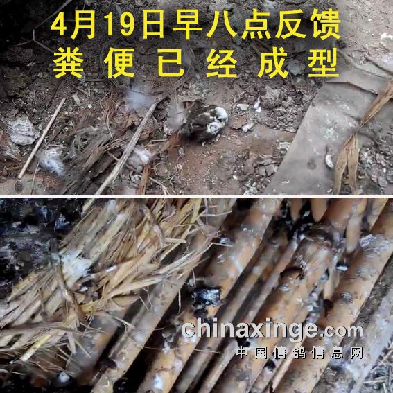 ������������ɫˮ��