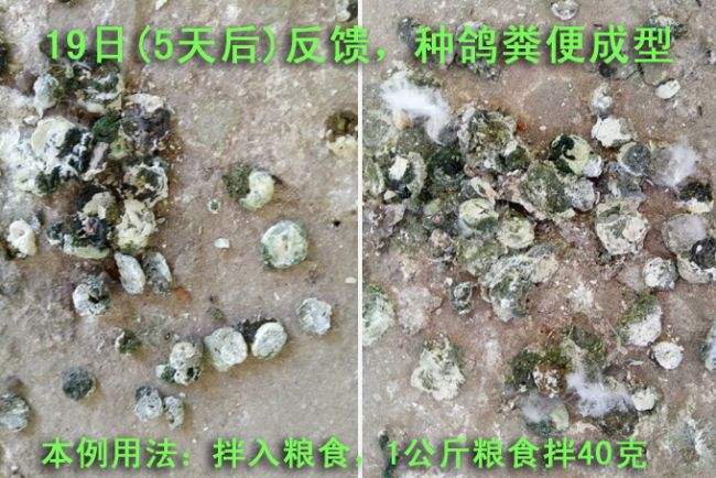 ������������ˮ����