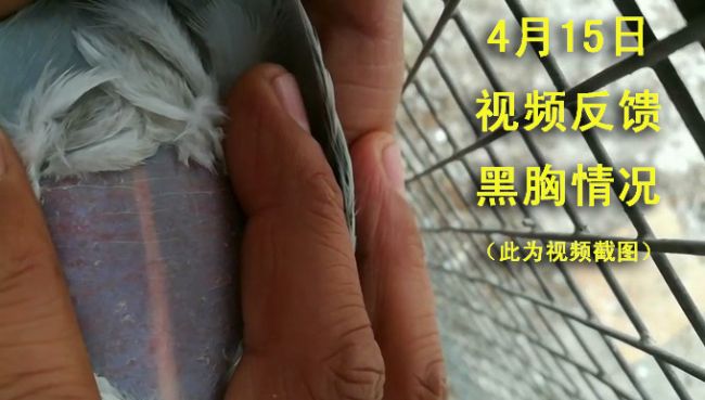 Ϊʲô����������������