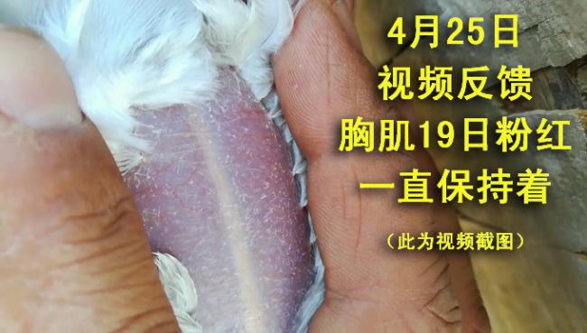 Ϊʲô����������������