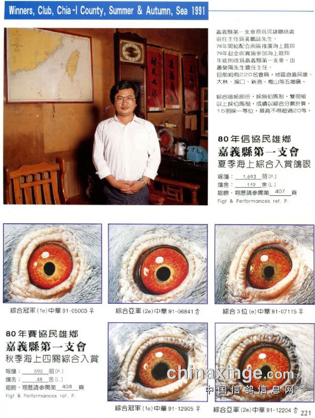台湾三关四关五关六关高位奖鸽眼欣赏《二》