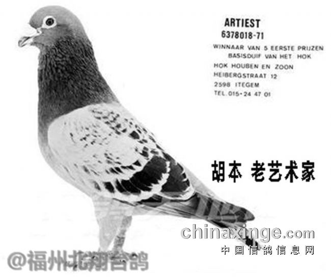 �������������