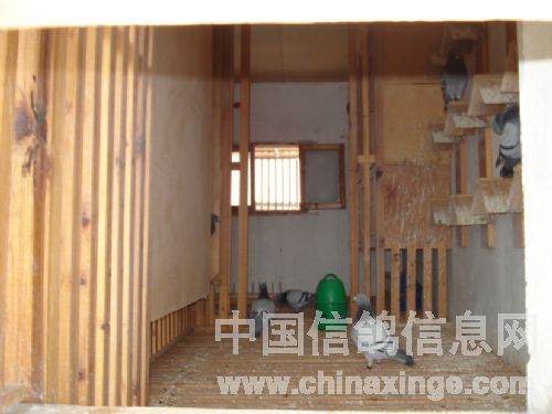 �ⲿ���ָ���,��Ϊ�ָ볲��