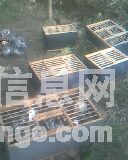 �����ֲ���˽���ֳ�