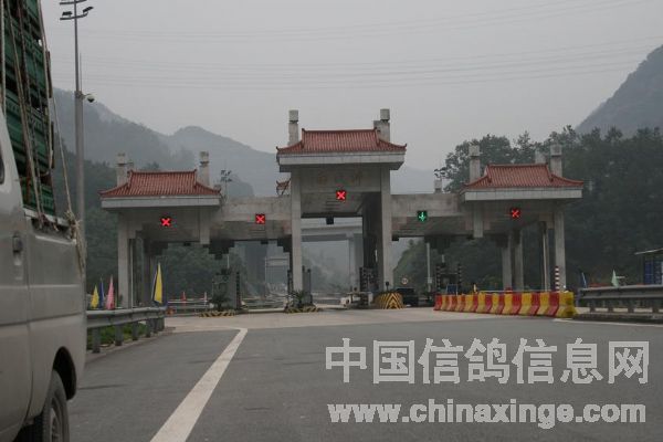 比赛放飞目的地