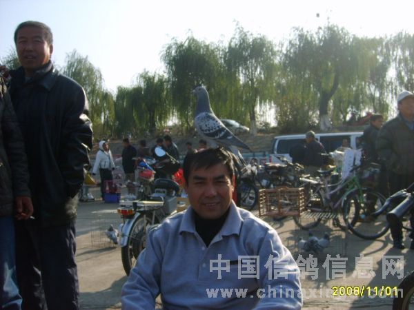 看看我厉害不厉害!