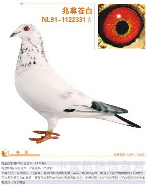 123