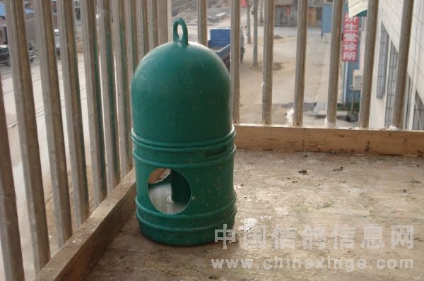 现在的小饮水器