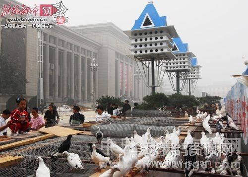 是欧式建筑,白色的矩形房屋,蓝色四棱锥房顶.