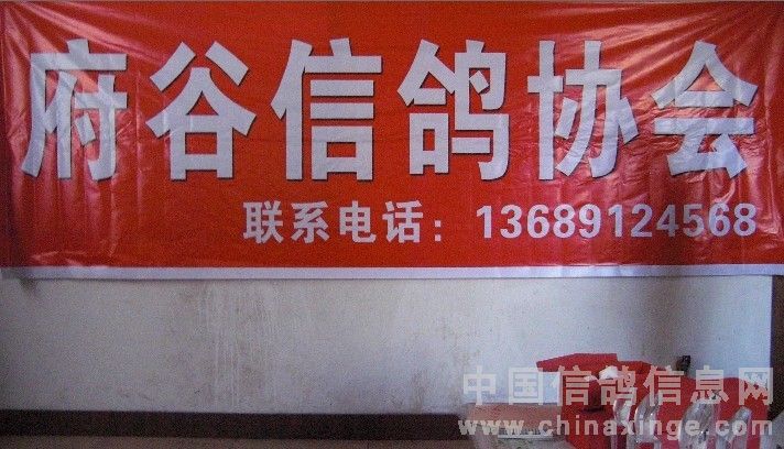 府谷信鸽协会颁奖地点