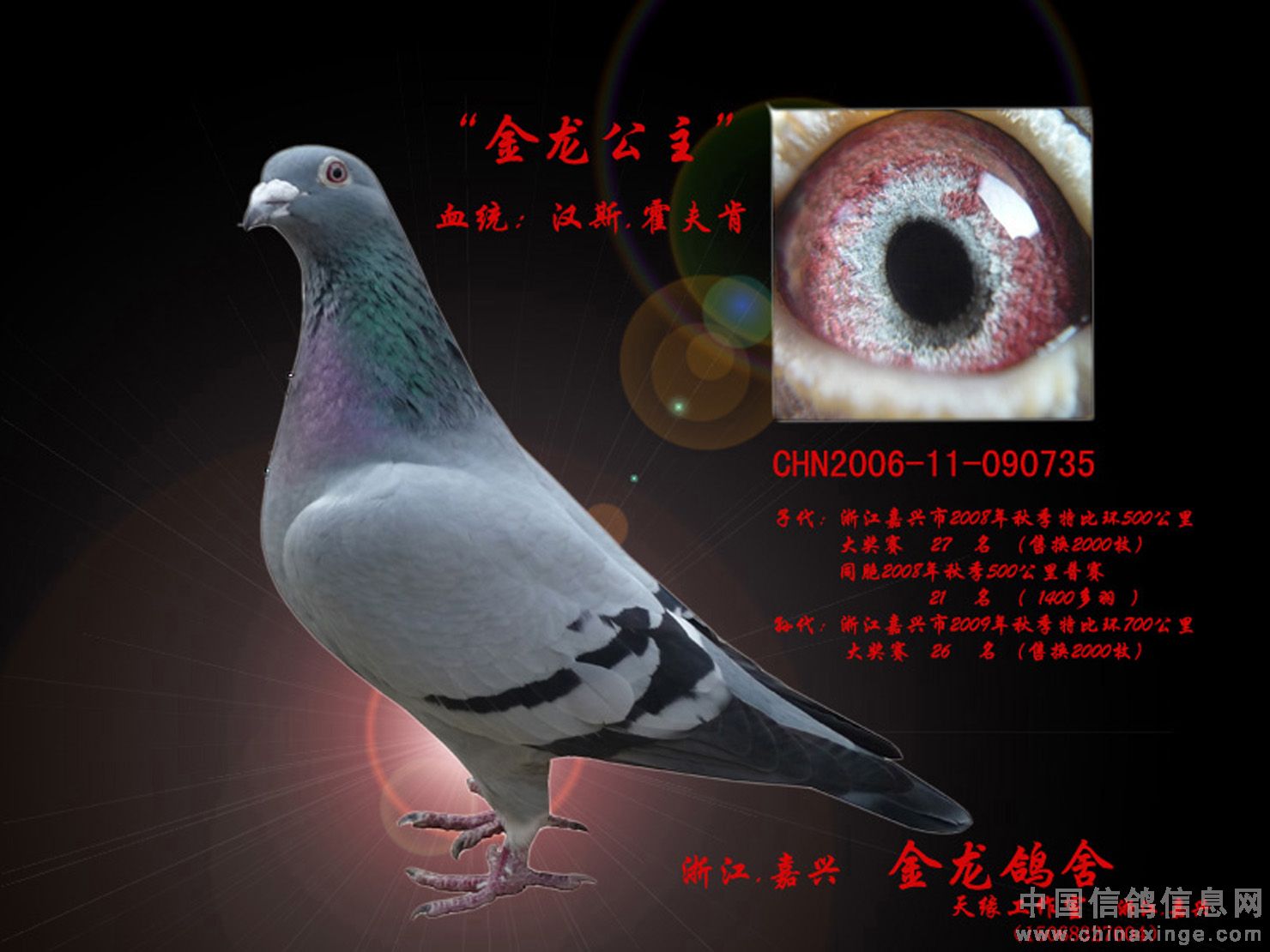 20100313111704906.jpg