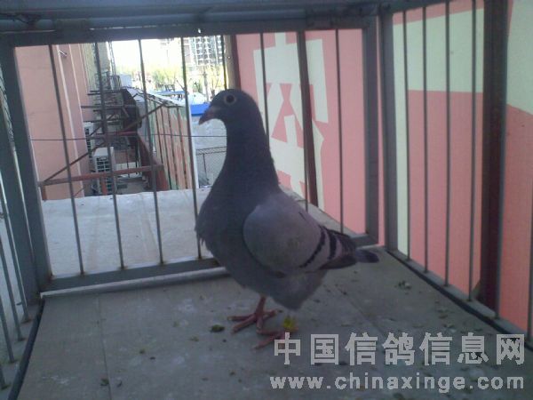 20100609213255586_s.jpg