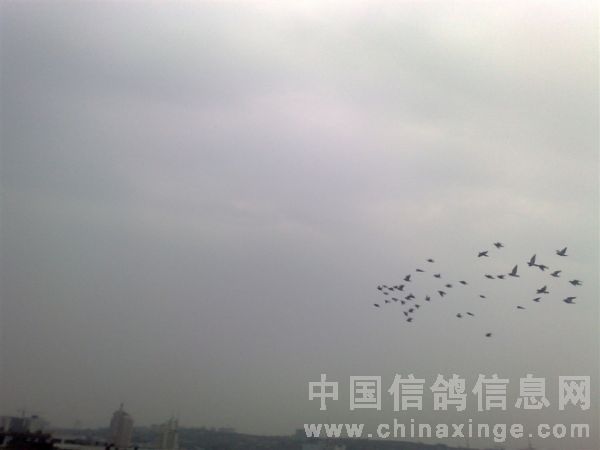 20100629192607561_s.jpg