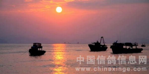 晴空丽日满江红