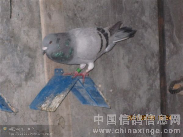 �ȷ�837֮��