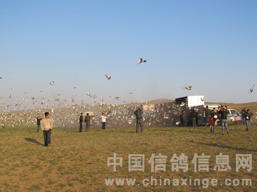 锡林浩特市人口_不容错过的人口要情报告 带你全面了解锡盟人口状况及大学生(2)