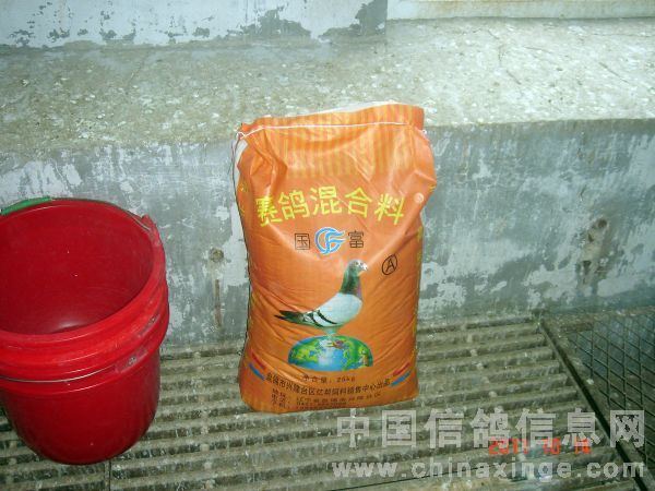 赛鸽鸽粮