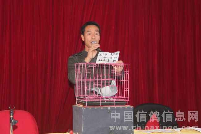 侯玉明先生主持拍卖会