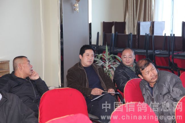 赛鸽名家徐清林先生