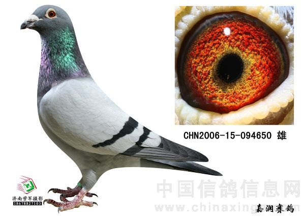 第四配对男主角