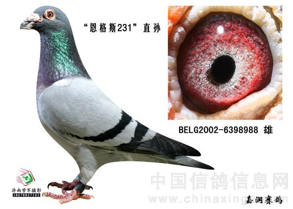 第五配对男主角