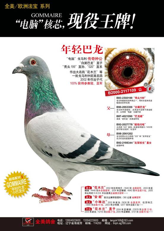 <em>同父异母兄妹</em>--c2009-06-424756 灰 砂-大连鑫