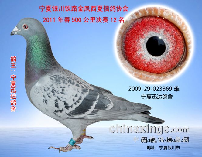 ... 图片卖肉,罪母妻母漫画福利图片,崖柏瘤疤毛料图片