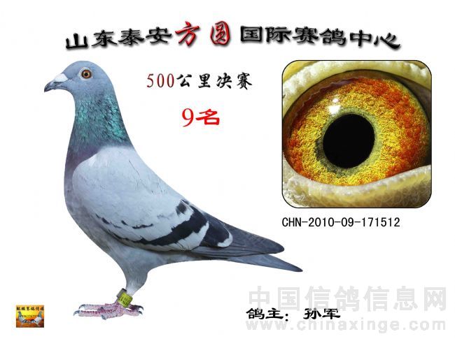 20101220213610.jpg