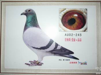 20130220095618.jpg