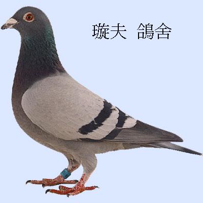 30274.jpg