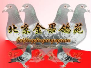����Ŵ�