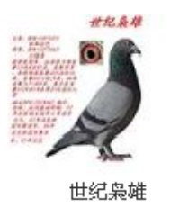 ����Ŵ�
