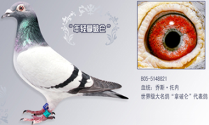 ����Ŵ�