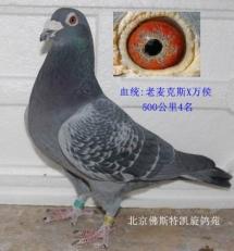 ����Ŵ�